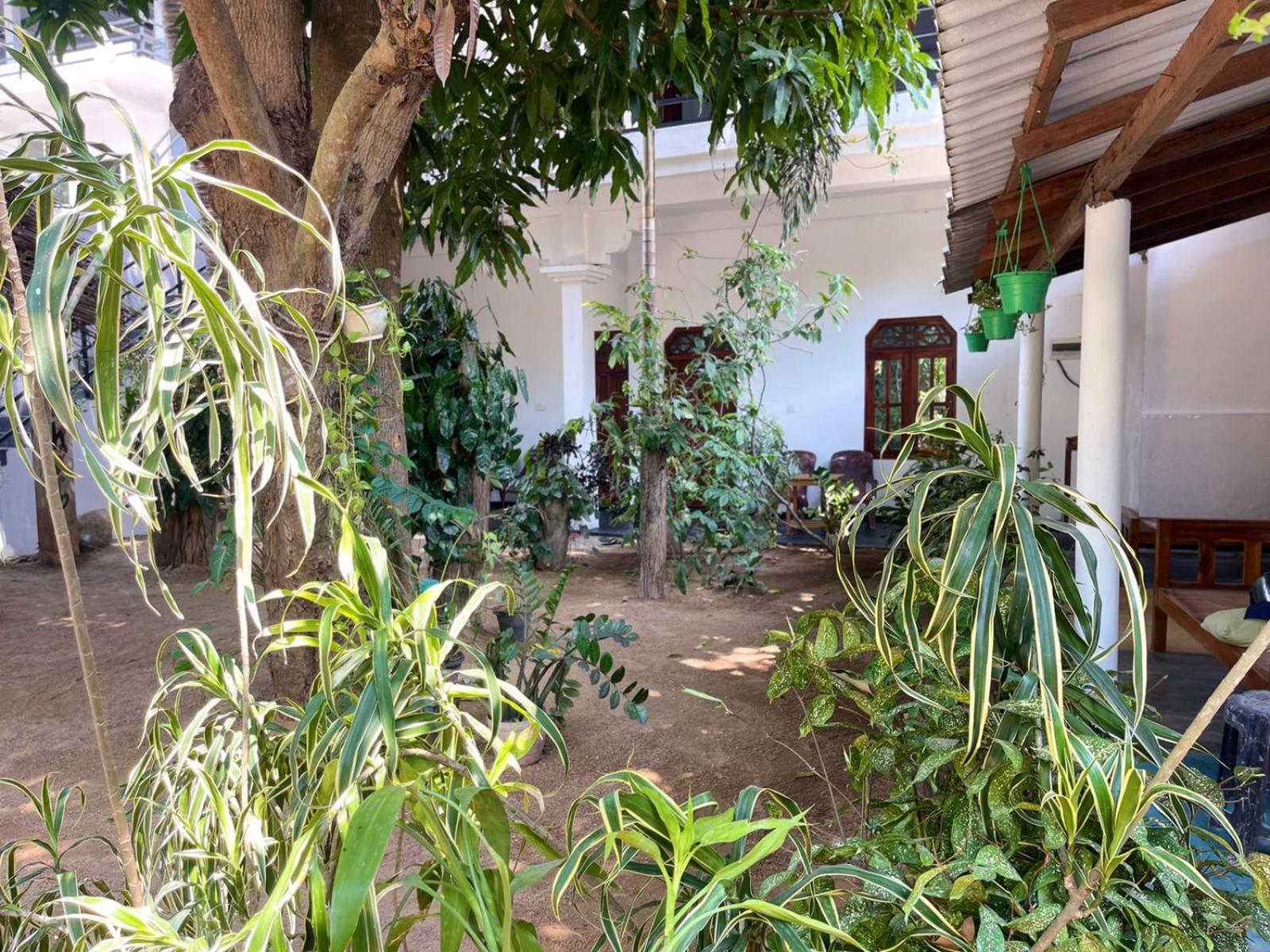 Arugambay Village Arugam Bay Esterno foto